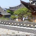 을미의병이 전국적으로 확산된 배경과 의병들의 전투 방식 분석하기