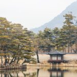국토 재건과 산업화의 상관관계 이해하기