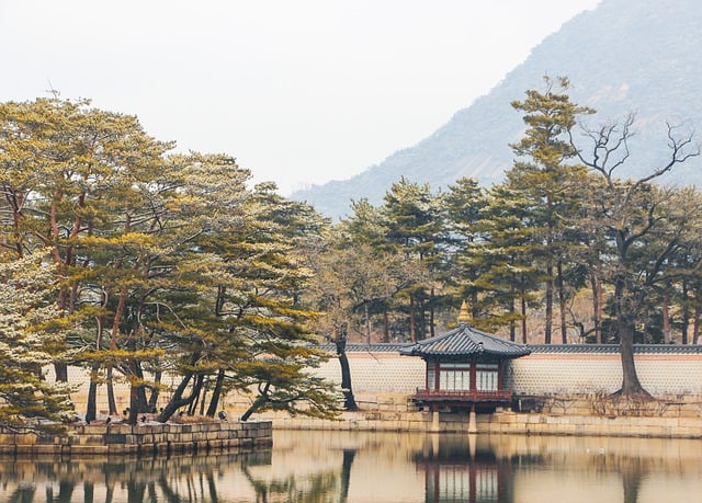 국토 재건과 산업화의 상관관계 이해하기