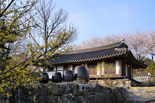 부마항쟁의 확산 경로와 정치 변화 보기