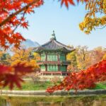 유신체제의 헌법 구조와 사회 반응 분석하기